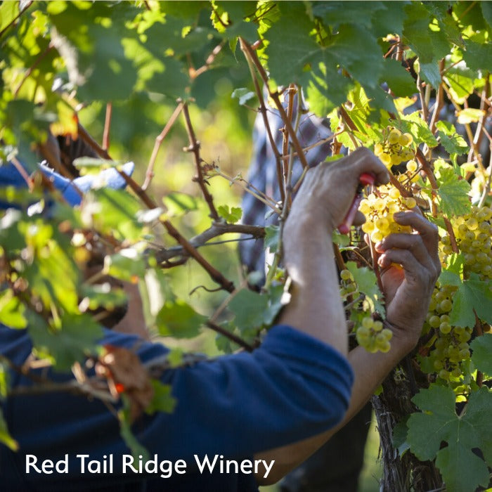The Wine Atlas Collective: 8 Wineries from America's Top Wine Regions