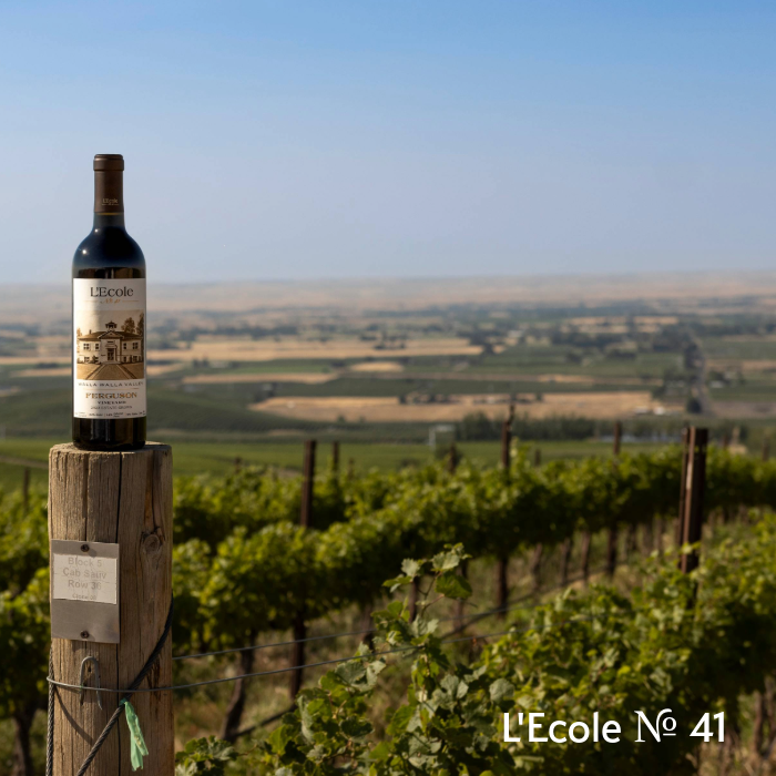 The Wine Atlas Collective: 8 Wineries from America's Top Wine Regions