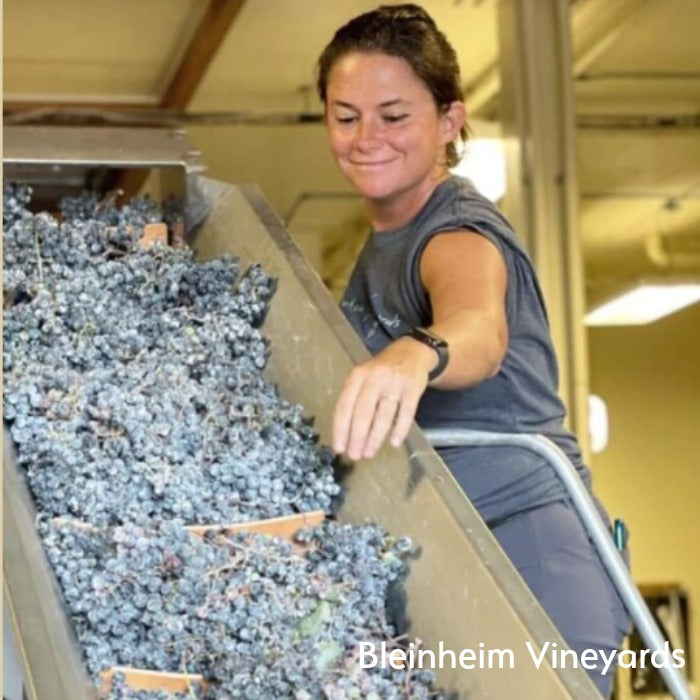 The Wine Atlas Collective: 8 Wineries from America's Top Wine Regions
