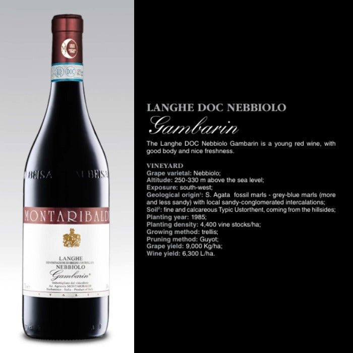 Montaribaldi Gambarin Langhe Nebbiolo Italy 2021 - Master The World Wines
