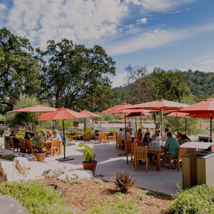 Tablas Creek Release 6 - Wine Kit - Master The World Wines