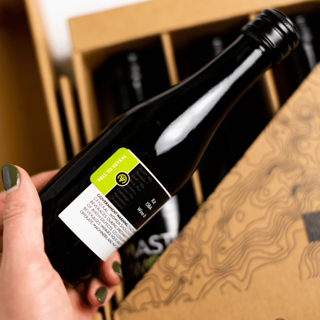 Testable Textbook Wines (6 Wines) - Master The World Wines