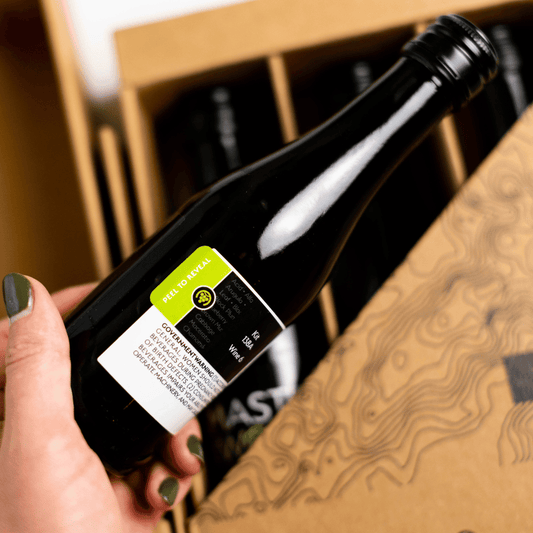 Testable Textbook Wines (6 Wines) - Master The World Wines