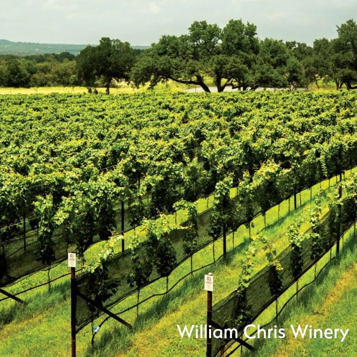 The Wine Atlas Collective: 8 Wineries from America's Top Wine Regions - Master The World Wines