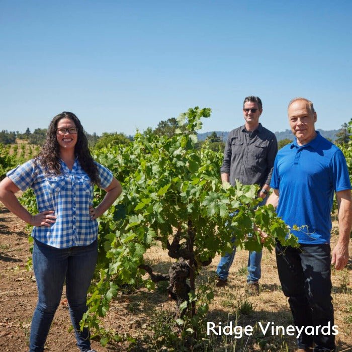 The Wine Atlas Collective: 8 Wineries from America's Top Wine Regions - Master The World Wines