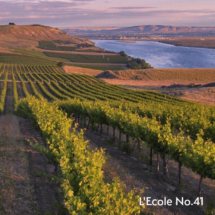 The Wine Atlas Collective: 8 Wineries from America's Top Wine Regions - Master The World Wines